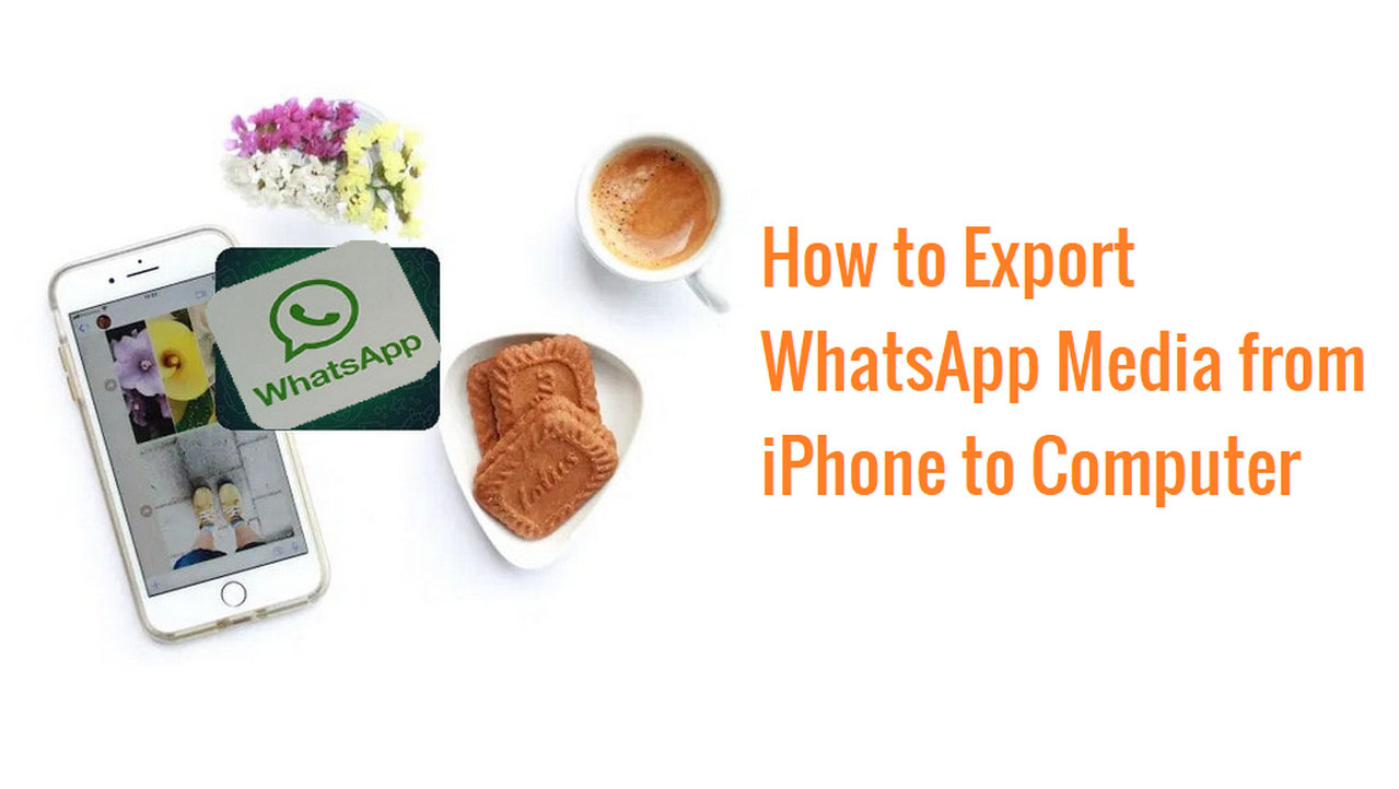 How to Export My WhatsApp Media from iPhone to Hard Drive