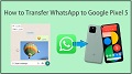 How to Transfer WhatsApp to Google Pixel 5