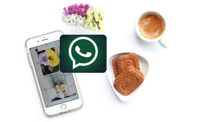how to download all whatsapp media to pc
