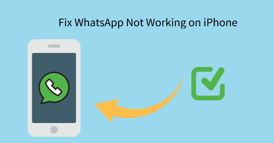 iphone whatsapp aplication work