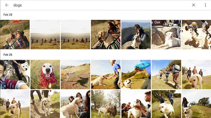 Google Photos app