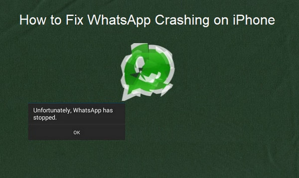whatsapp desktop crashing windows 7