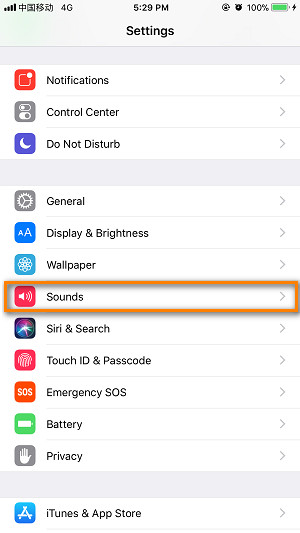 find Sounds setting on iPhone 6/6s
